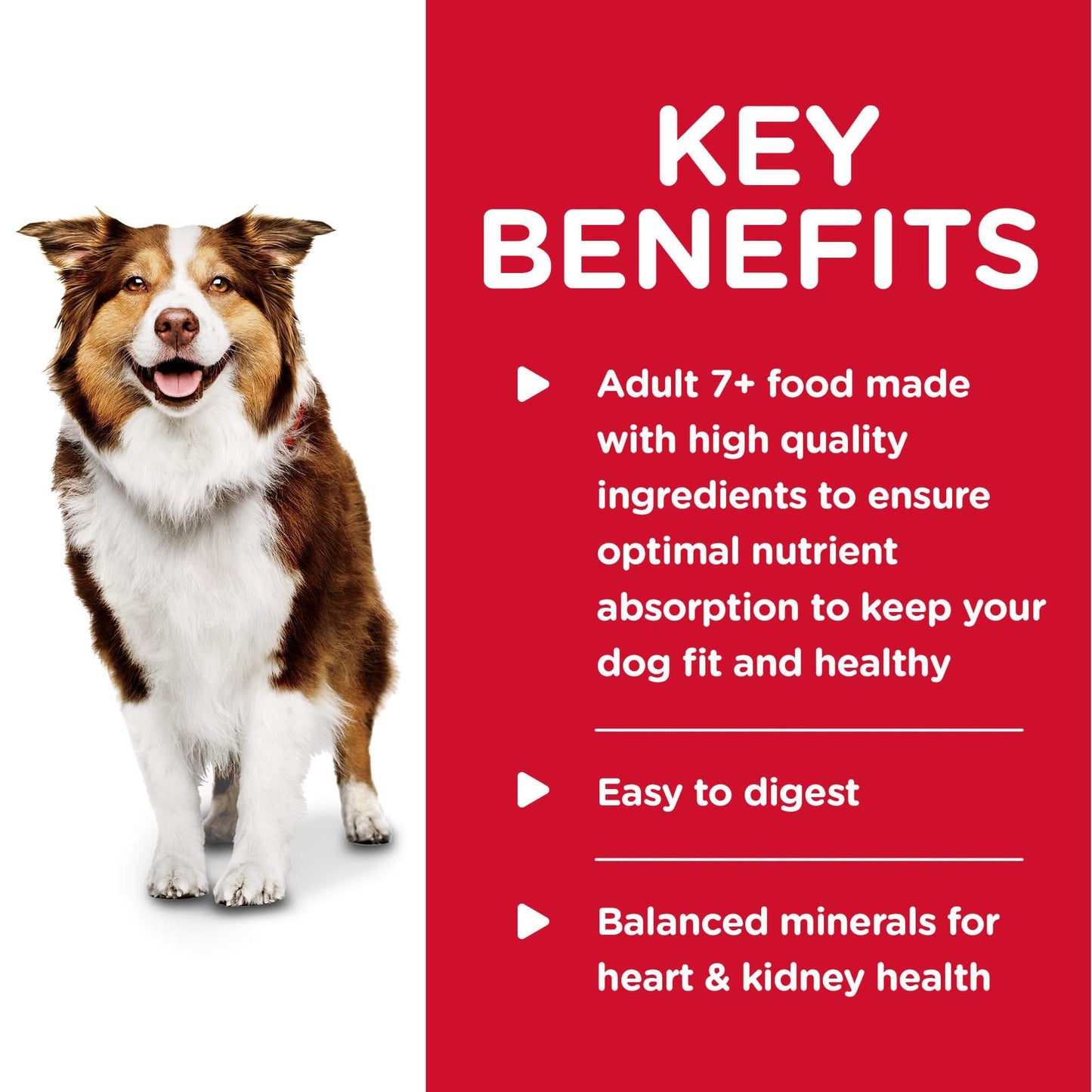 Hill's Science Diet Adult 7+ Savory Stew Beef & Vegetables Canned Wet Dog Food