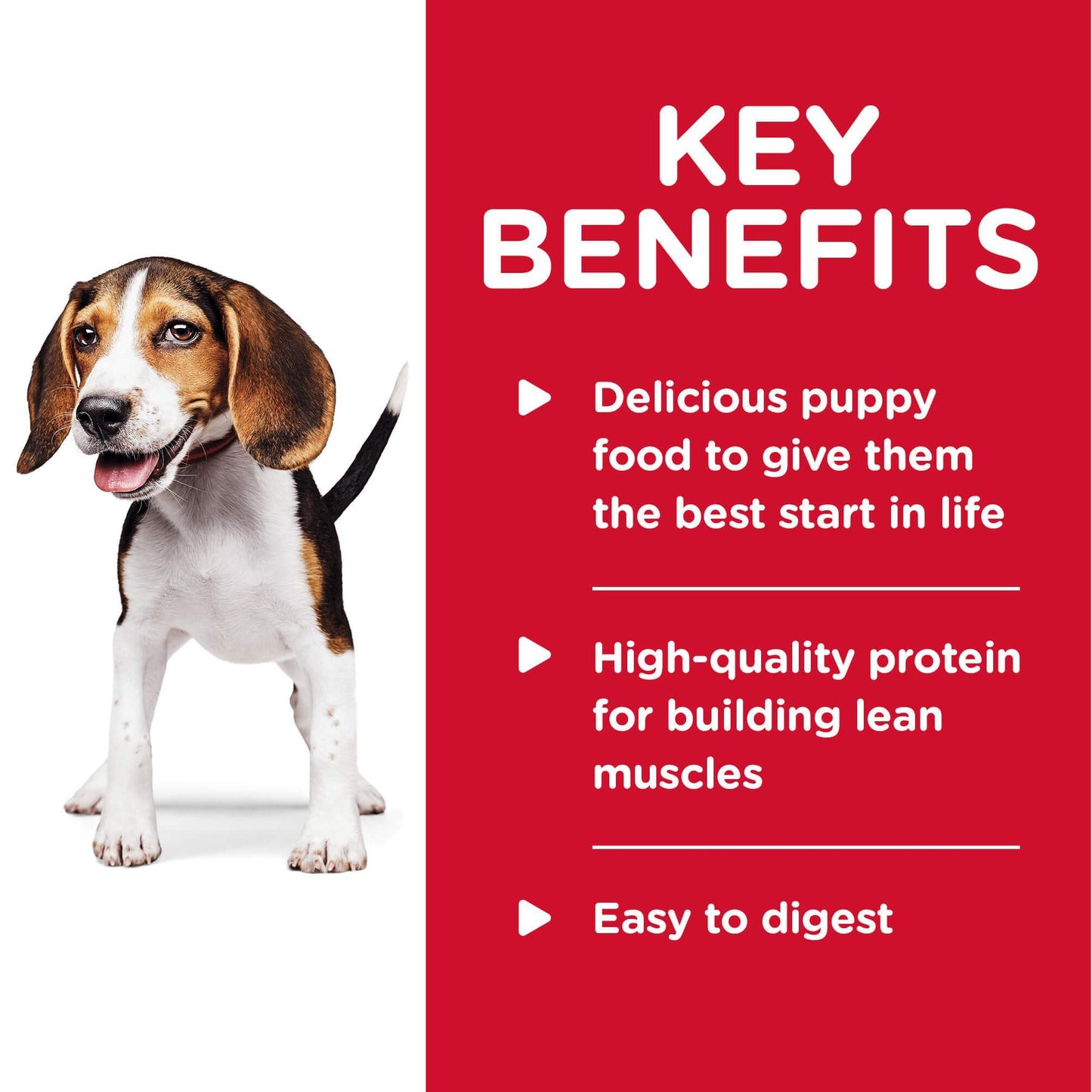 Hill's Science Diet Puppy Savoury Stew with Chicken & Vegetables Wet Dog Food