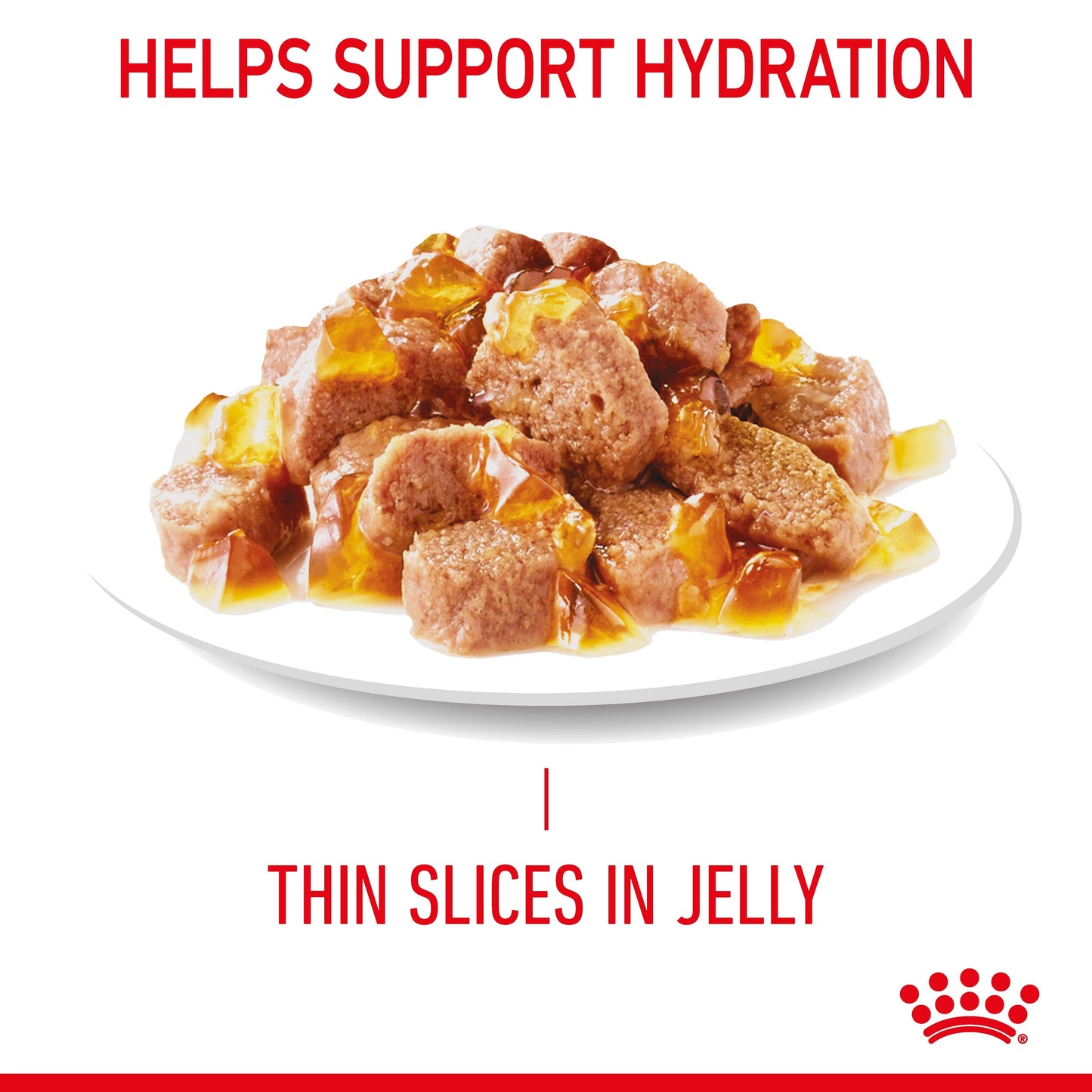 Royal Canin Hair & Skin Care Jelly Wet Cat Food