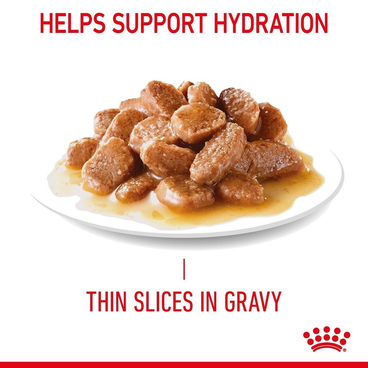 Royal Canin Hairball Care in Gravy Wet Cat Food