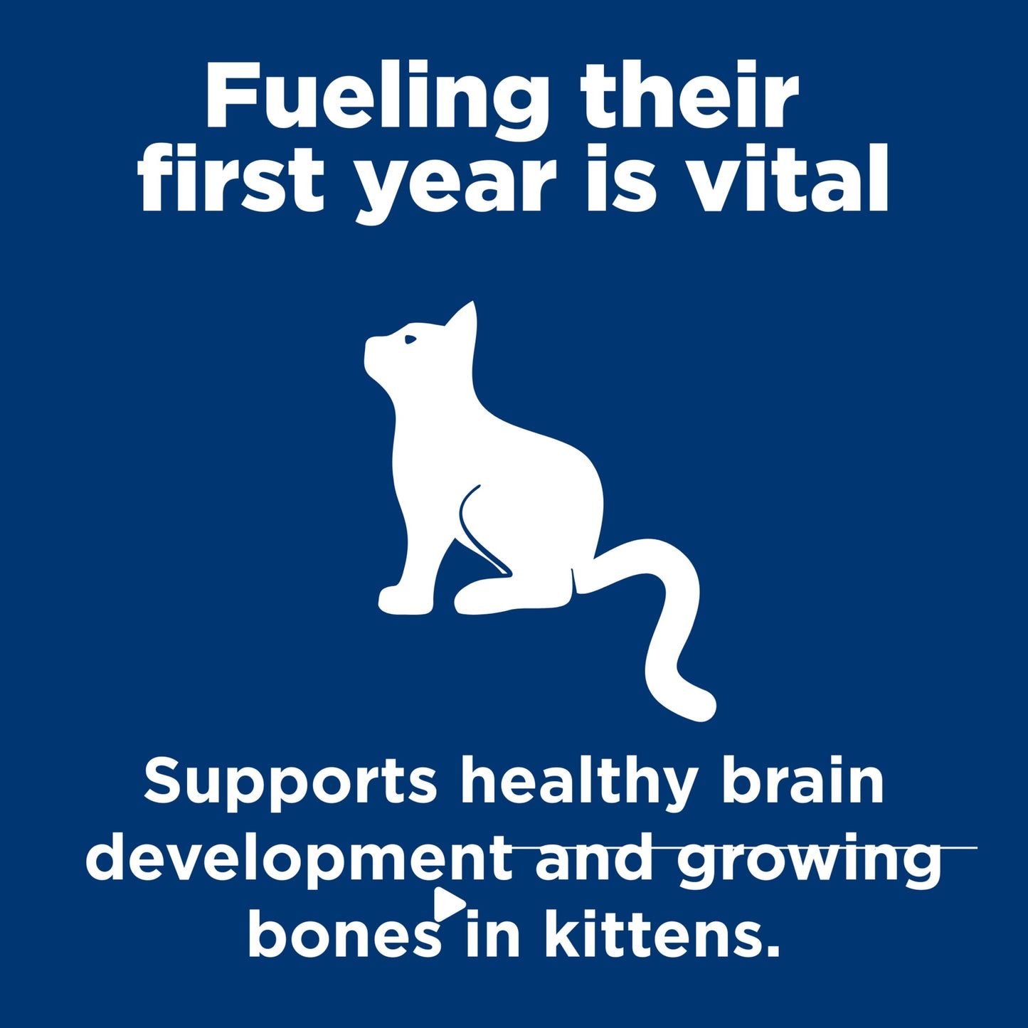 Hill's Science Diet Kitten Salmon Wet Cat Food