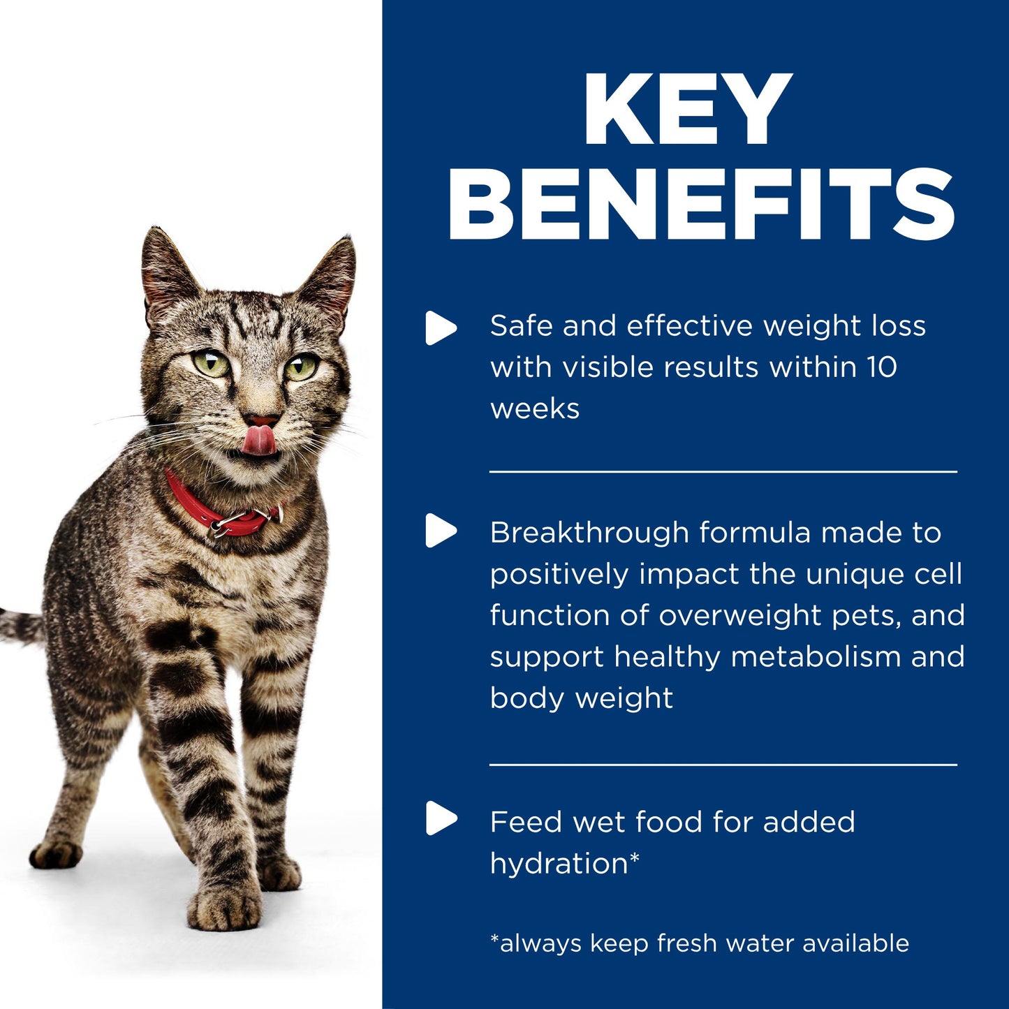 Hill's Science Diet Adult Perfect Weight Wet Cat Food