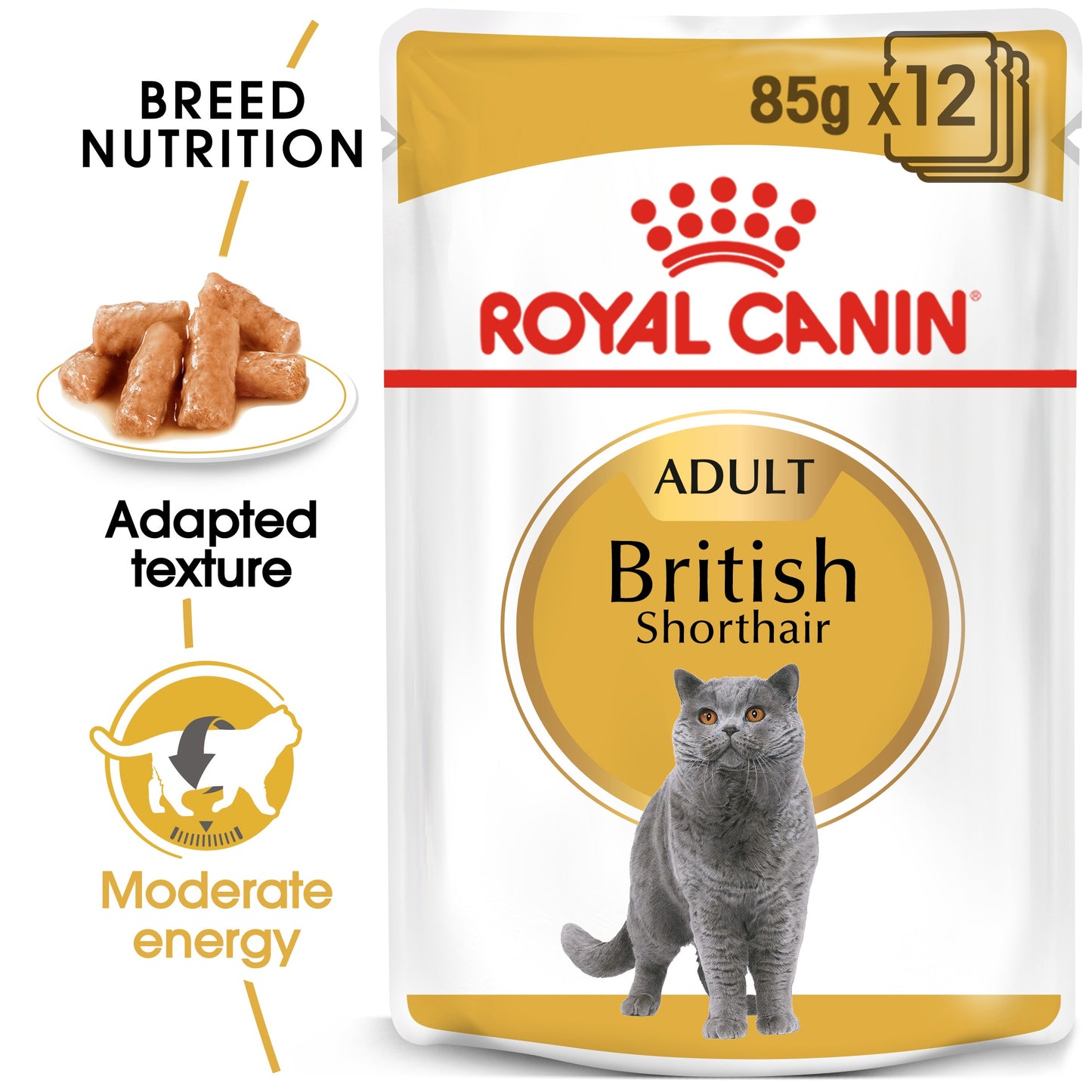 Royal Canin British Short Hair Wet Cat Food