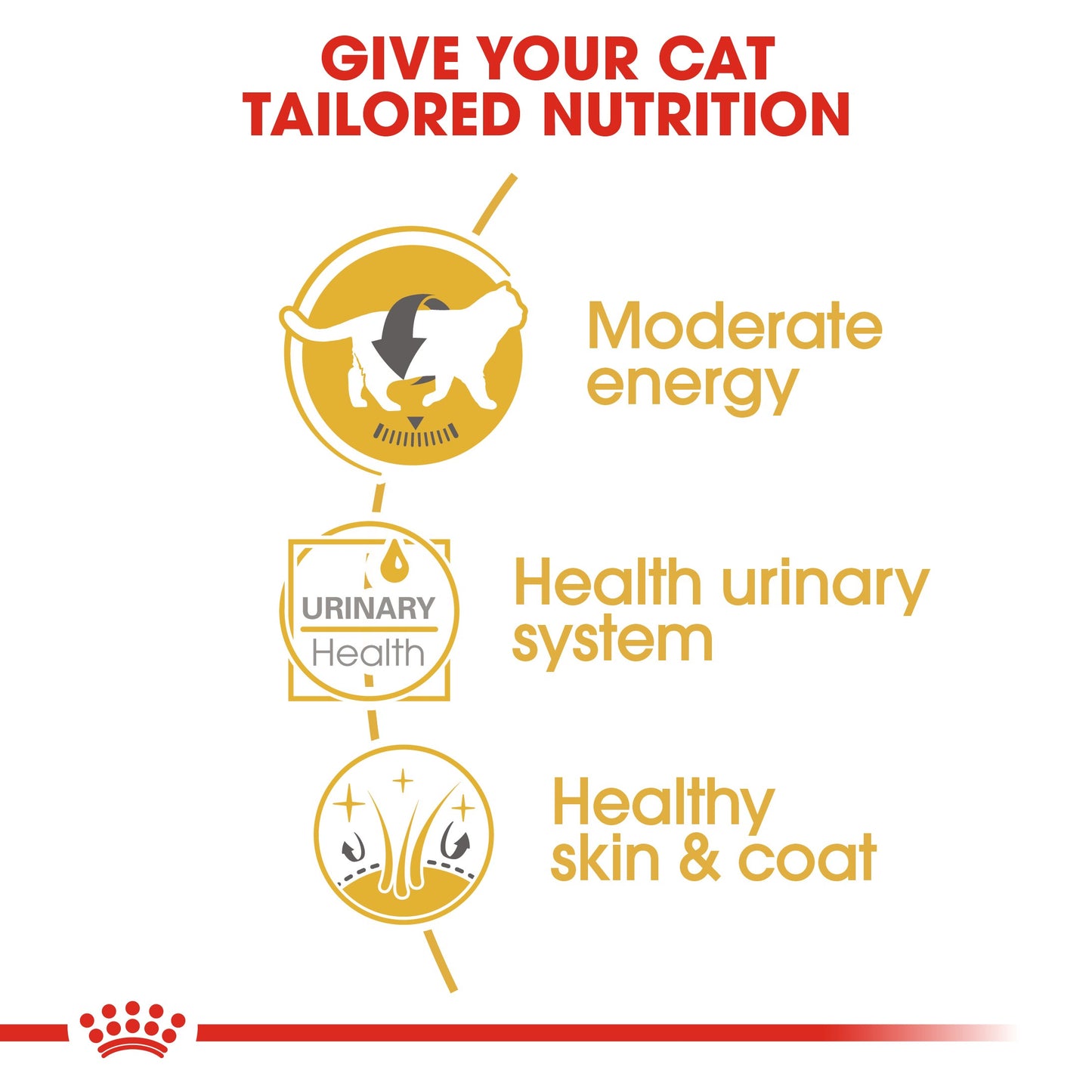 Royal Canin British Short Hair Wet Cat Food