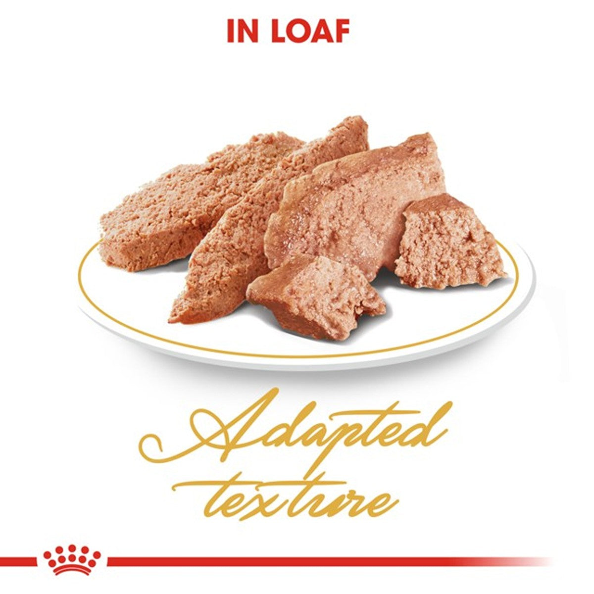 Royal Canin Persian Wet Cat Food