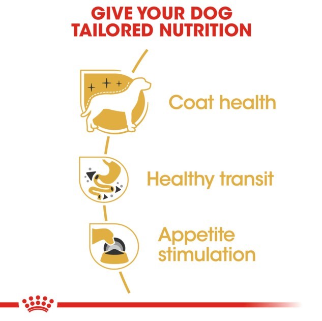 Royal Canin Chihuahua Adult Wet Dog Food