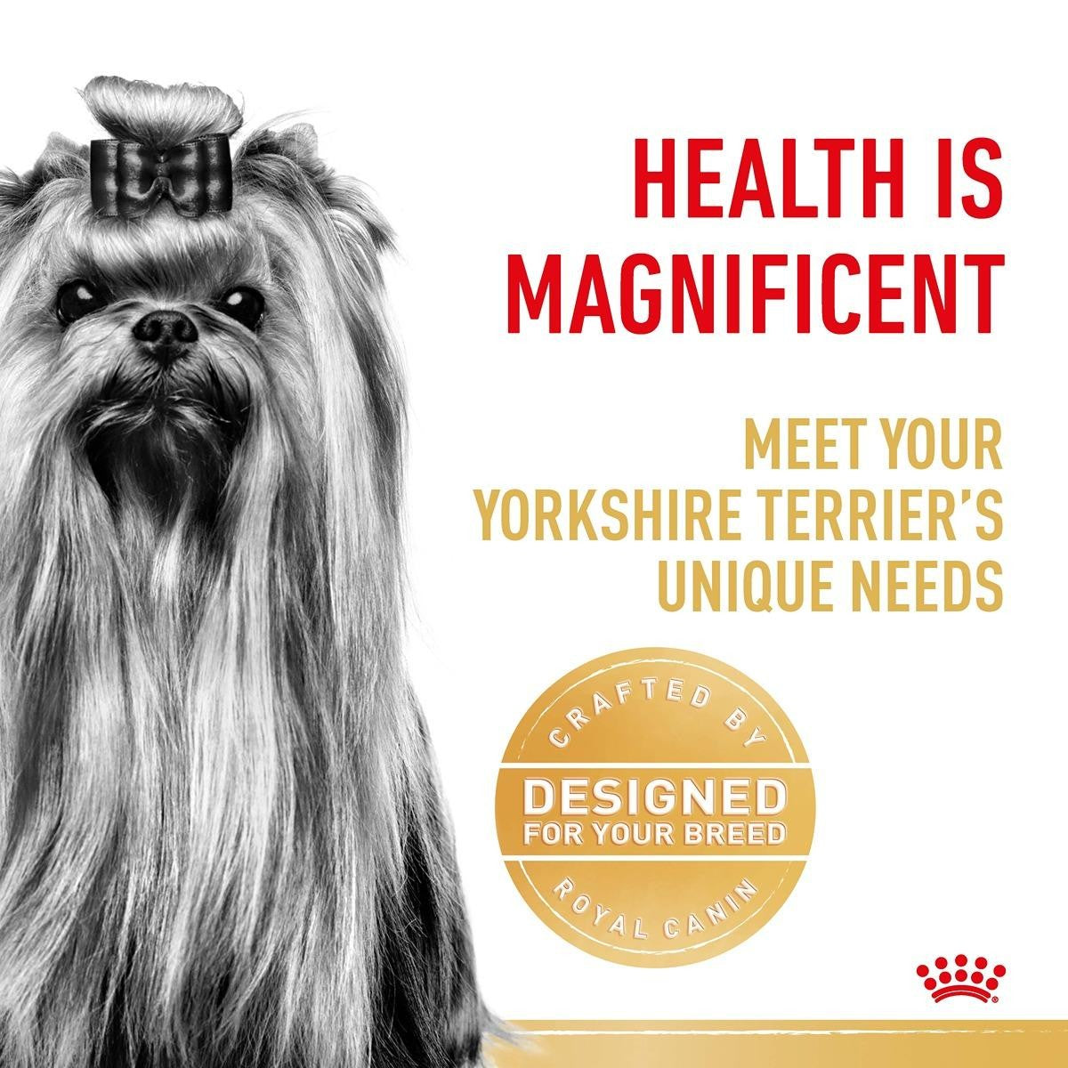 Royal Canin Yorkshire Terrier Adult Wet Dog Food