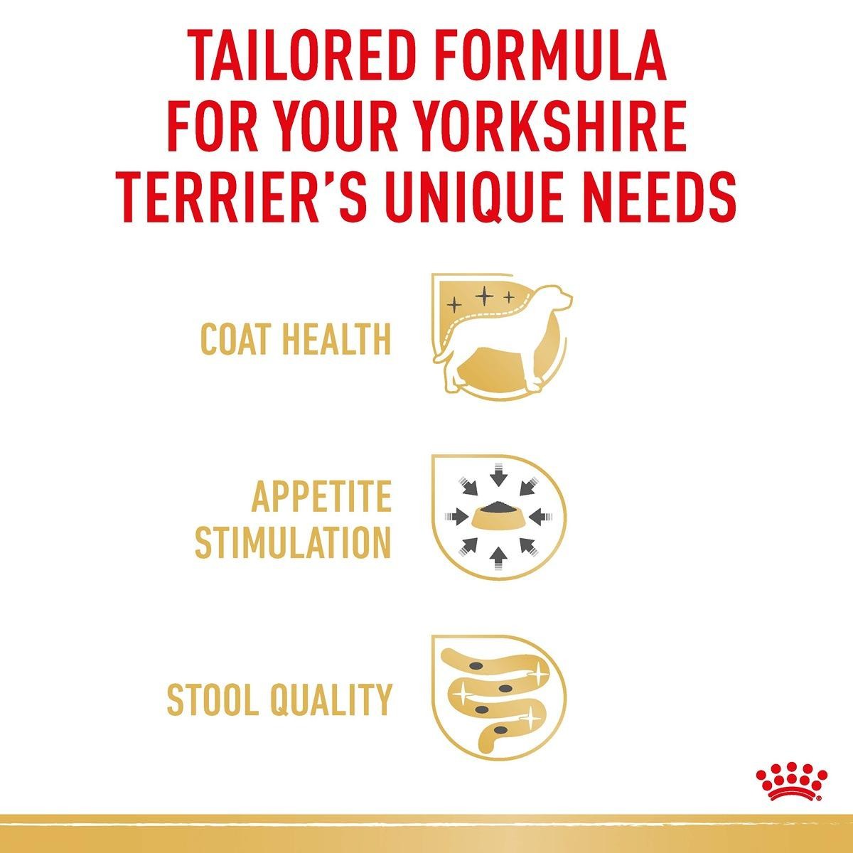 Royal Canin Yorkshire Terrier Adult Wet Dog Food