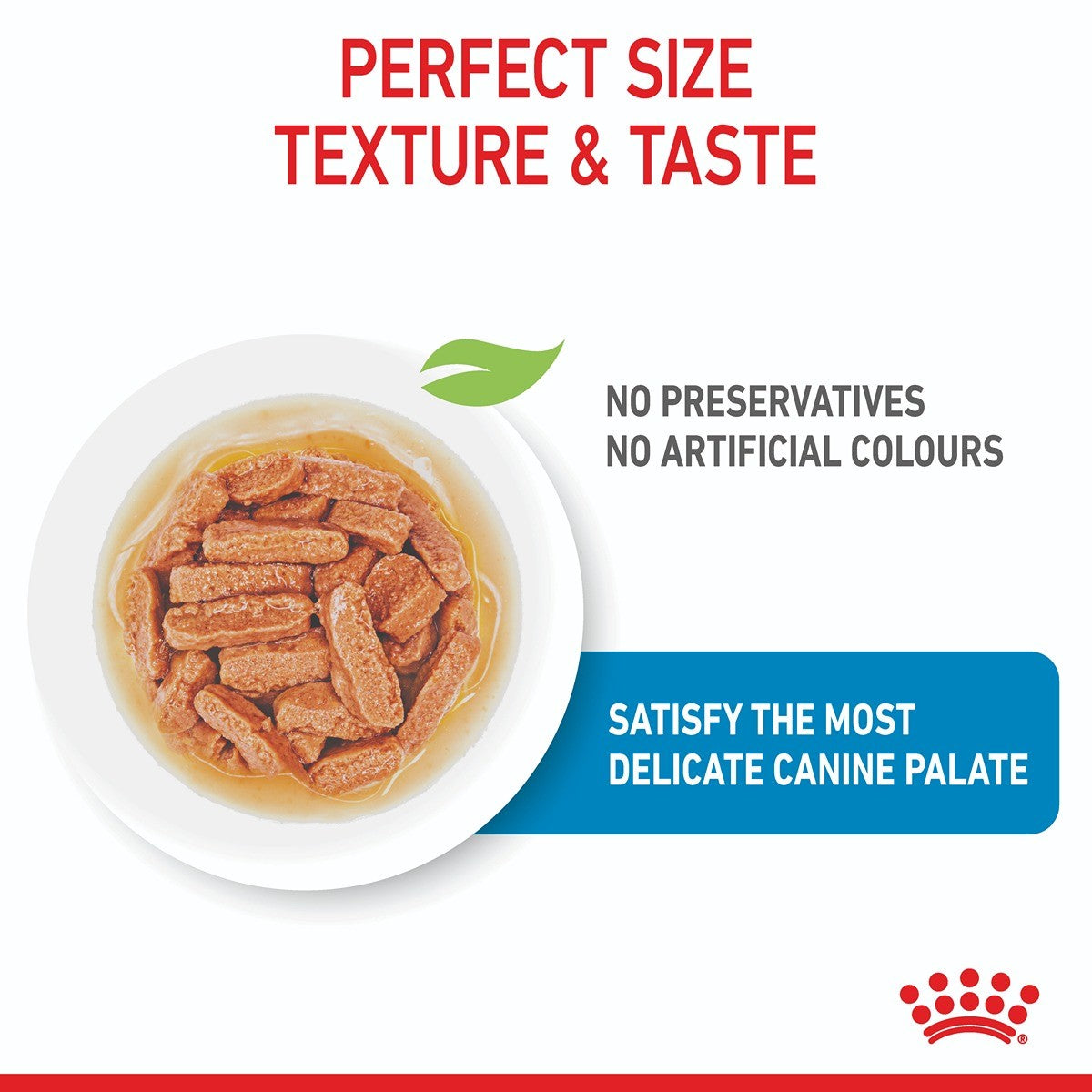 Royal Canin Medium Wet Puppy Food