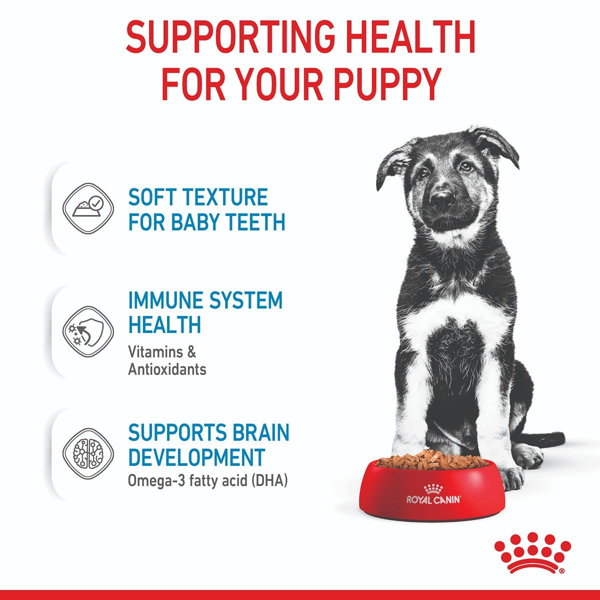 Royal Canin Maxi Wet Puppy Food