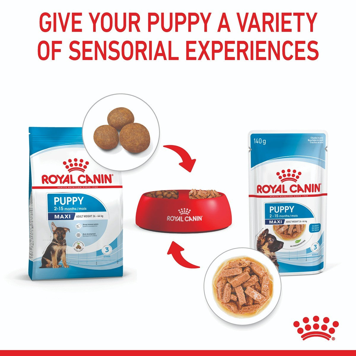 Royal Canin Maxi Wet Puppy Food