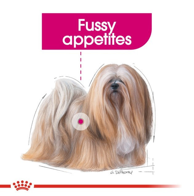 Royal Canin Exigent Loaf Wet Dog Food