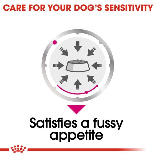 Royal Canin Exigent Loaf Wet Dog Food