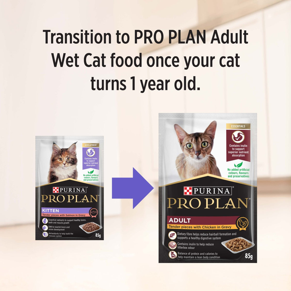 Pro Plan Kitten Salmon in Gravy Wet Cat Food