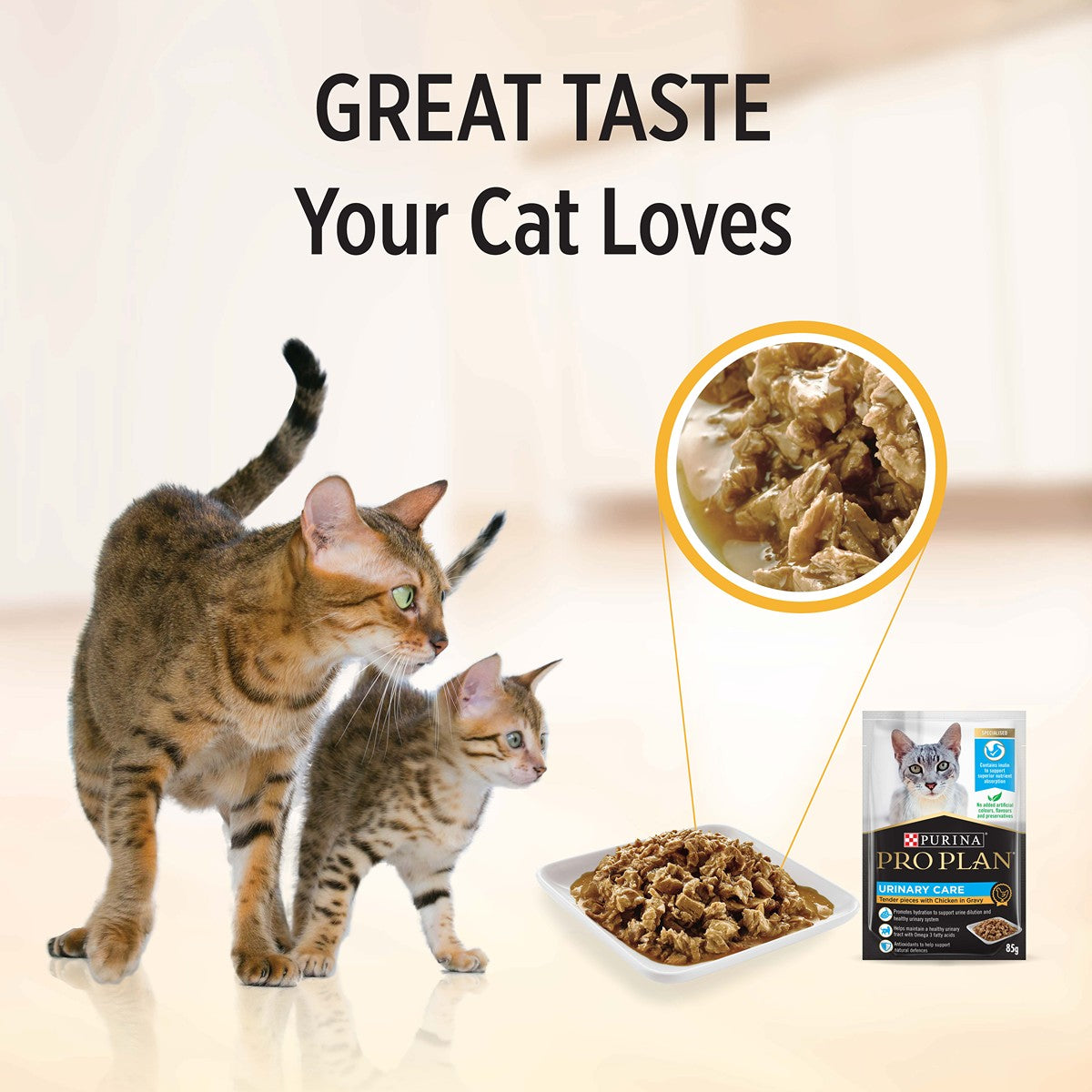 Pro Plan Urinary Tract Health Wet Cat Food