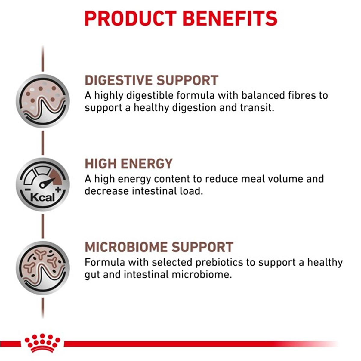 Royal Canin Vet Feline Gastrointestinal Wet Cat Food