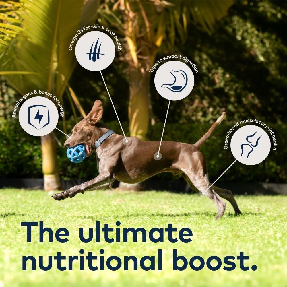 Ziwi Peak Lamb Recipe Wet Dog Food