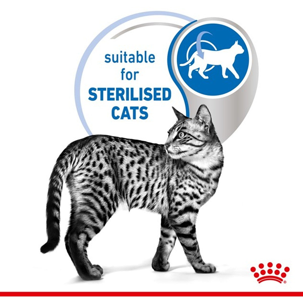 Royal Canin Indoor Gravy Wet Cat Food