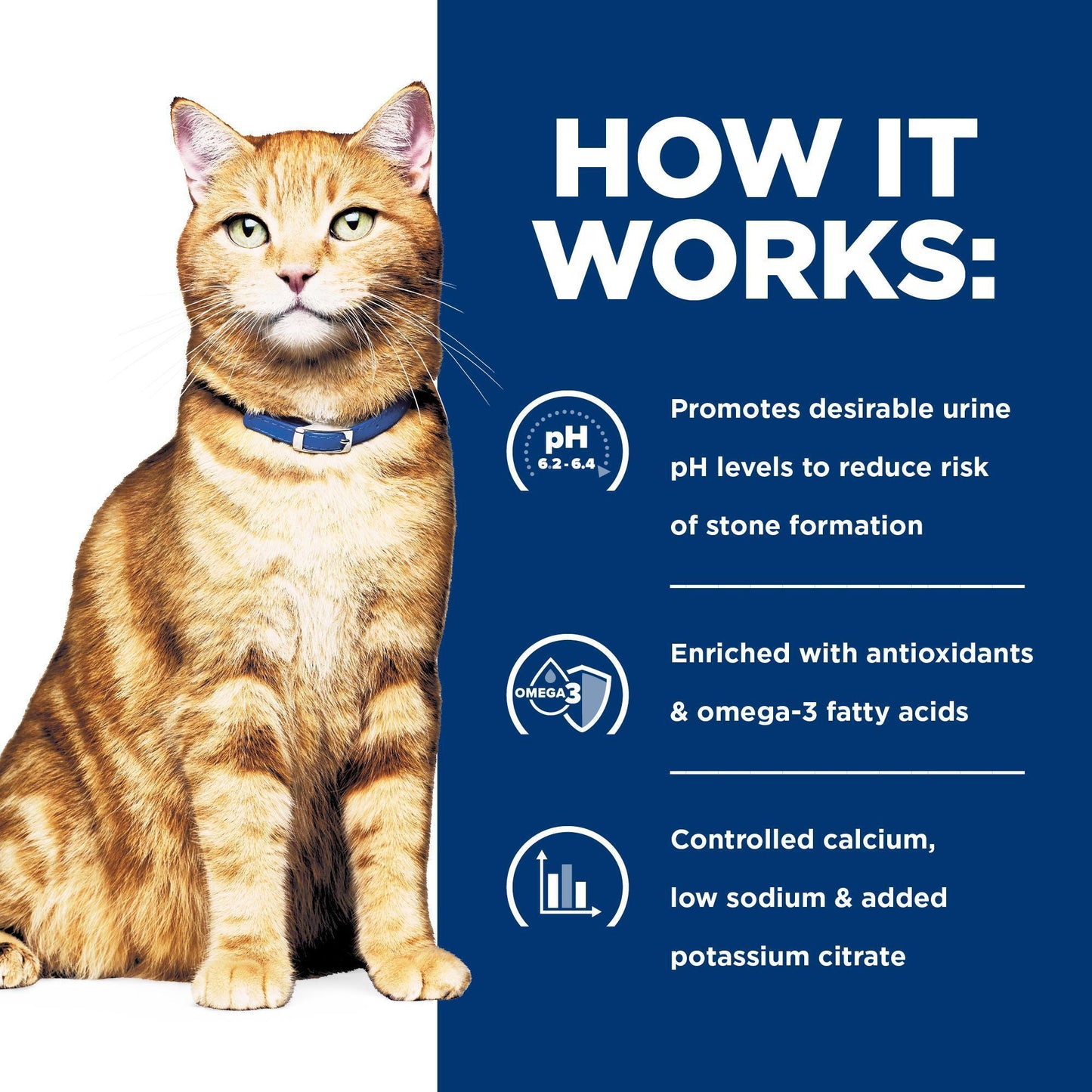 Hill's Prescription Diet c/d Urinay Care Chicken Wet Cat Food Pouches