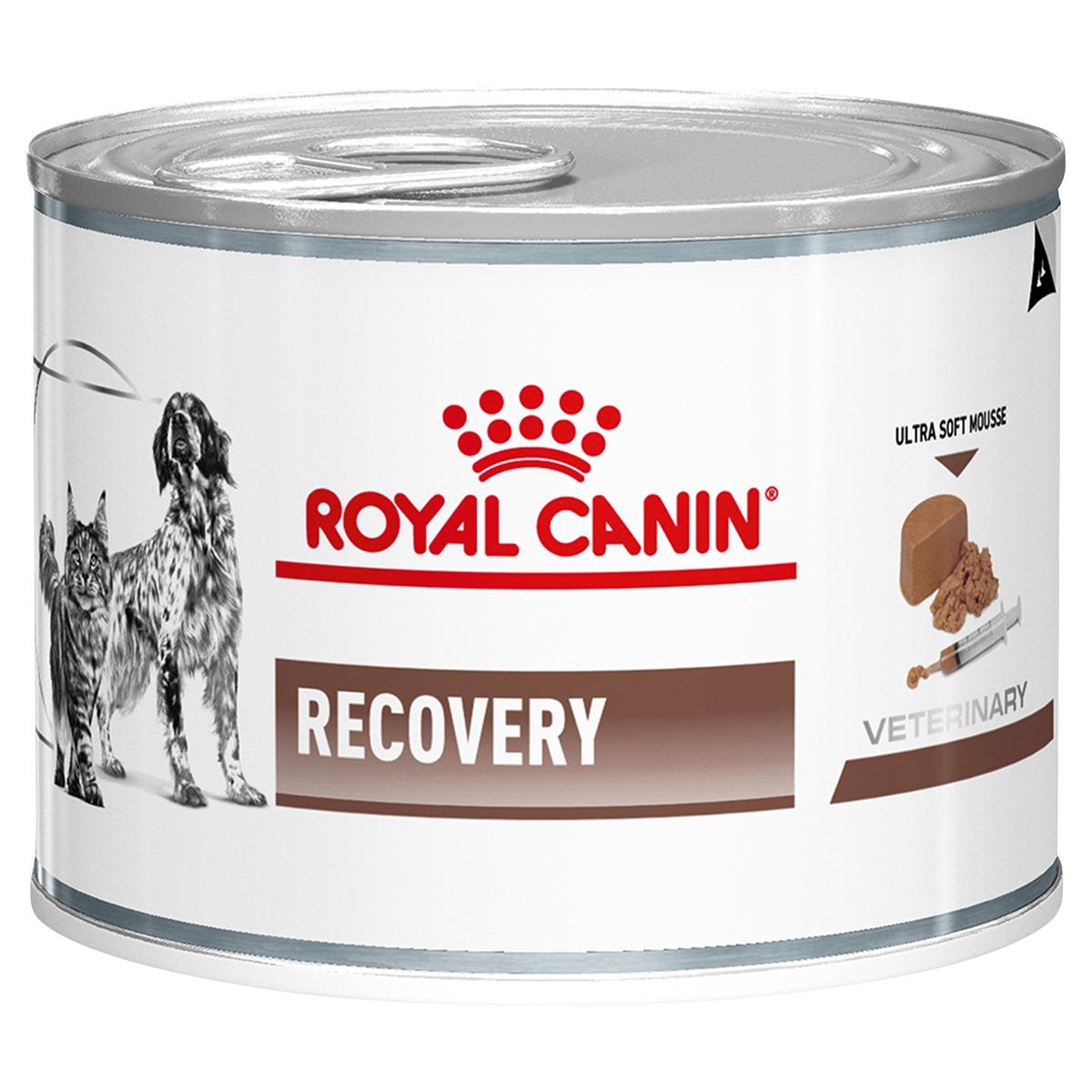 Royal Canin Vet Canine & Feline Recovery Mousse