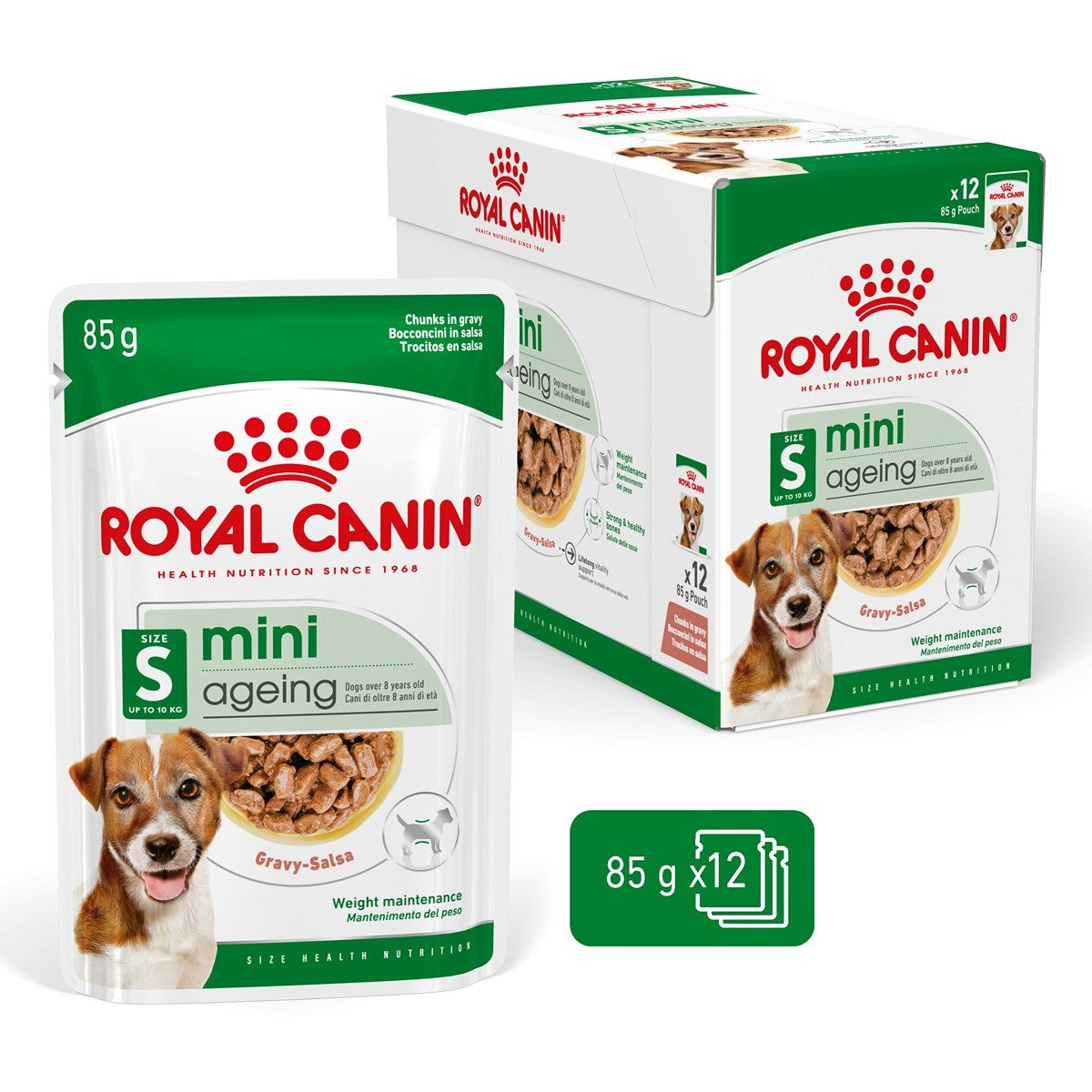 Royal Canin Mini Ageing 12 + Gravy Wet Dog Food