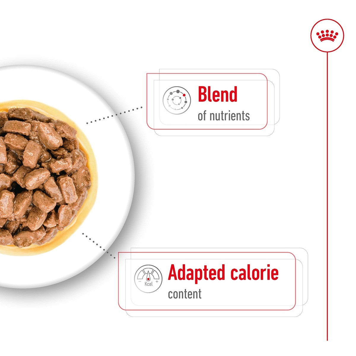 Royal Canin Mini Ageing 12 + Gravy Wet Dog Food