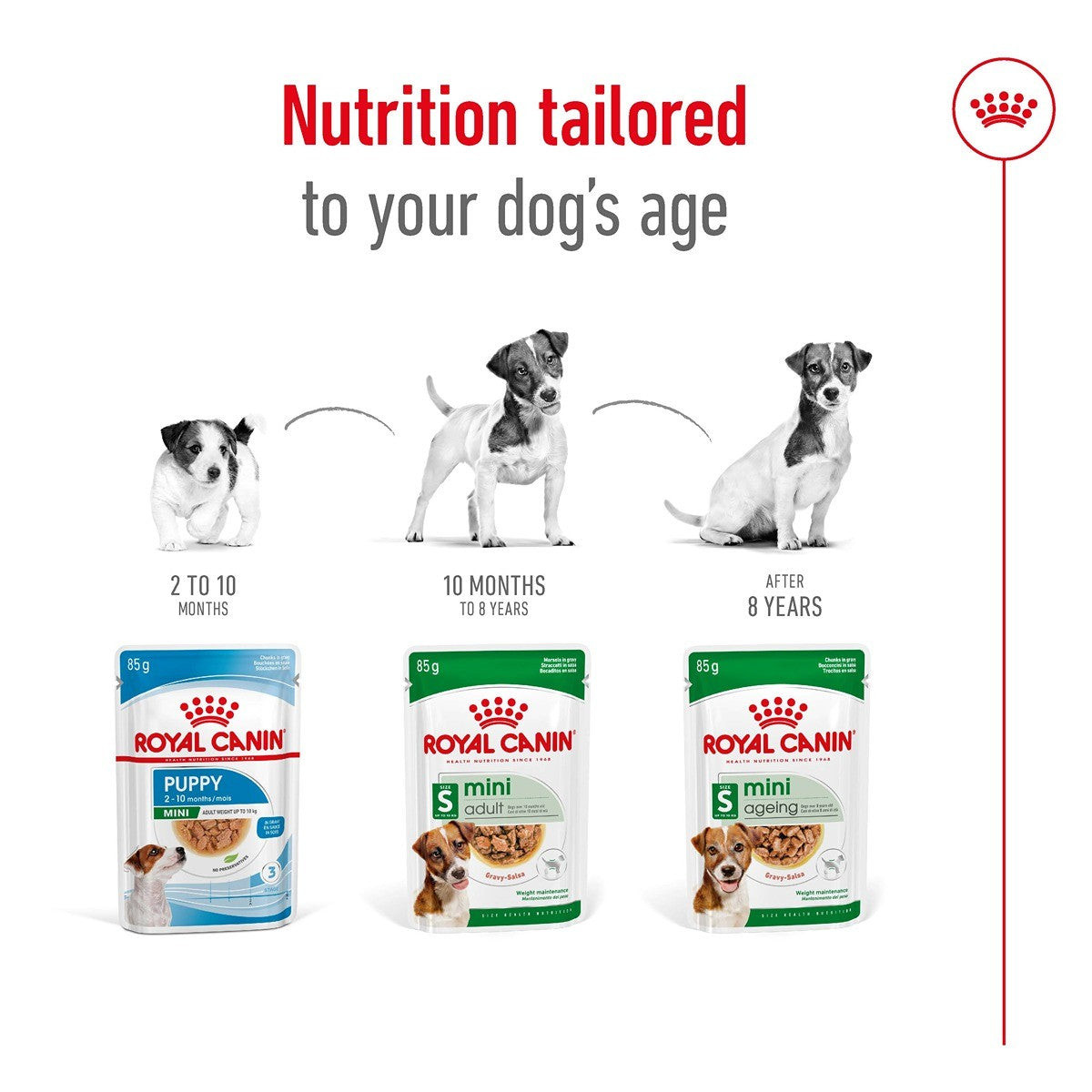 Royal Canin Mini Ageing 12 + Gravy Wet Dog Food