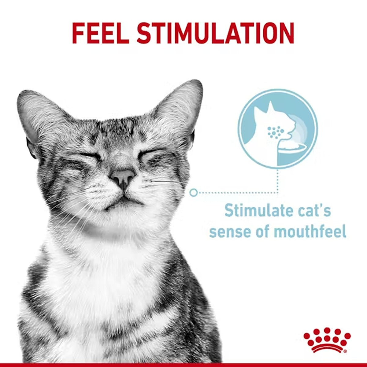 Royal Canin Sensory Feel in Jelly Wet Cat Food