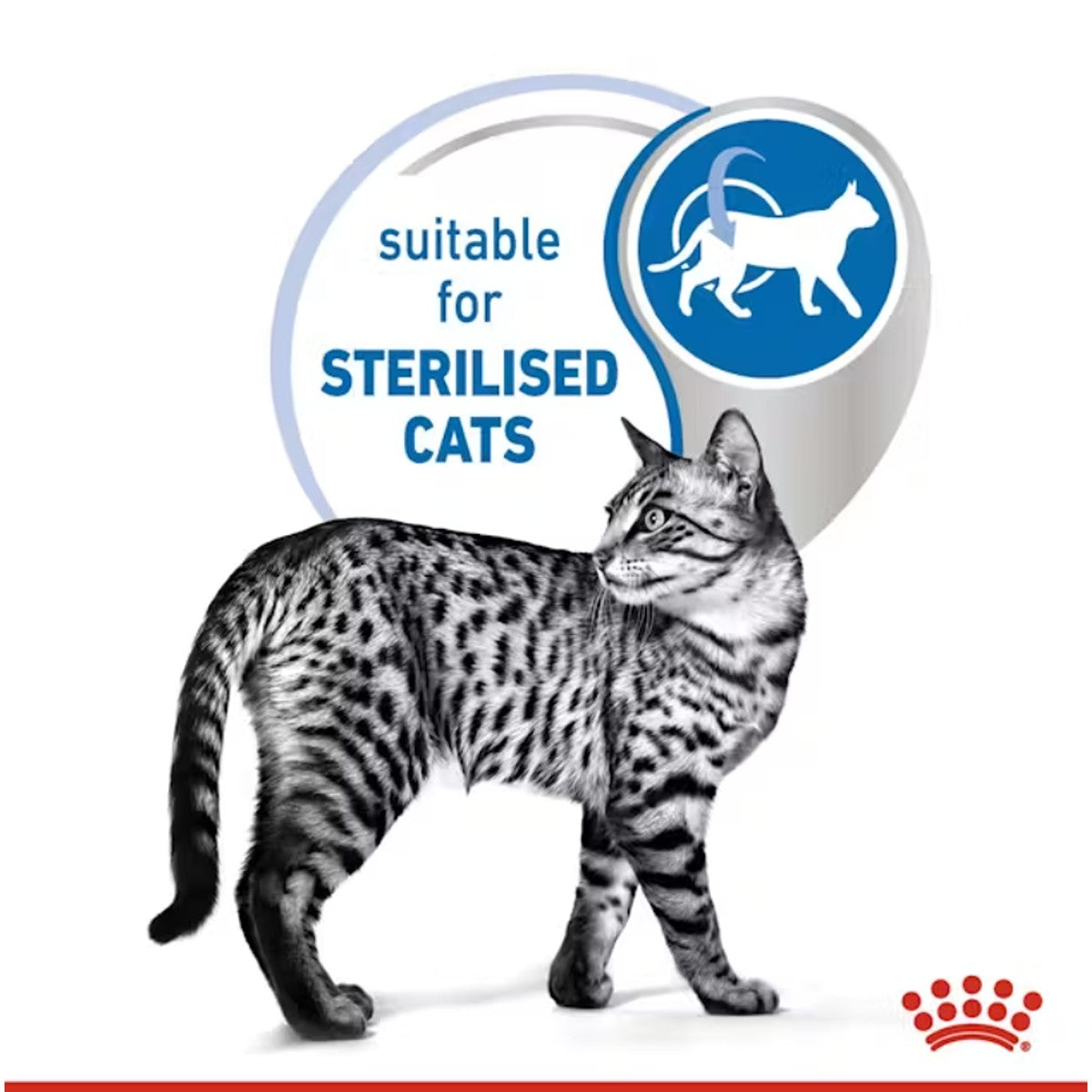 Royal Canin Indoor 7+ Gravy Cat Food